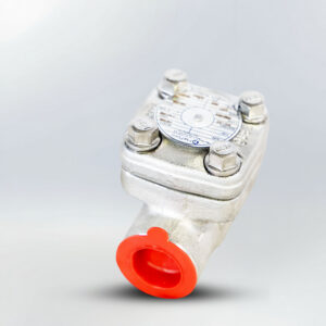 Check - immagine 12