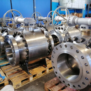 Trunnion - immagine 5