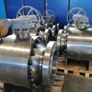 Trunnion - immagine 6