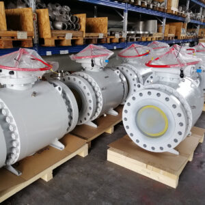 Trunnion - immagine 7