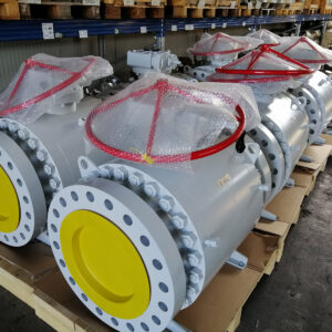 Trunnion - immagine 8
